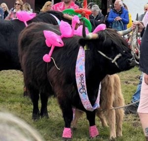 The Great Yorkshire Show 2024