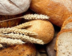 Is Fibre the New Protein?