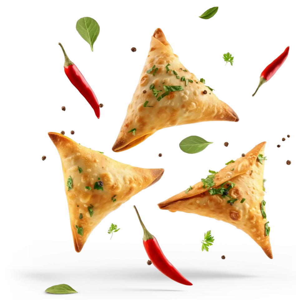 Application Lab Samosas