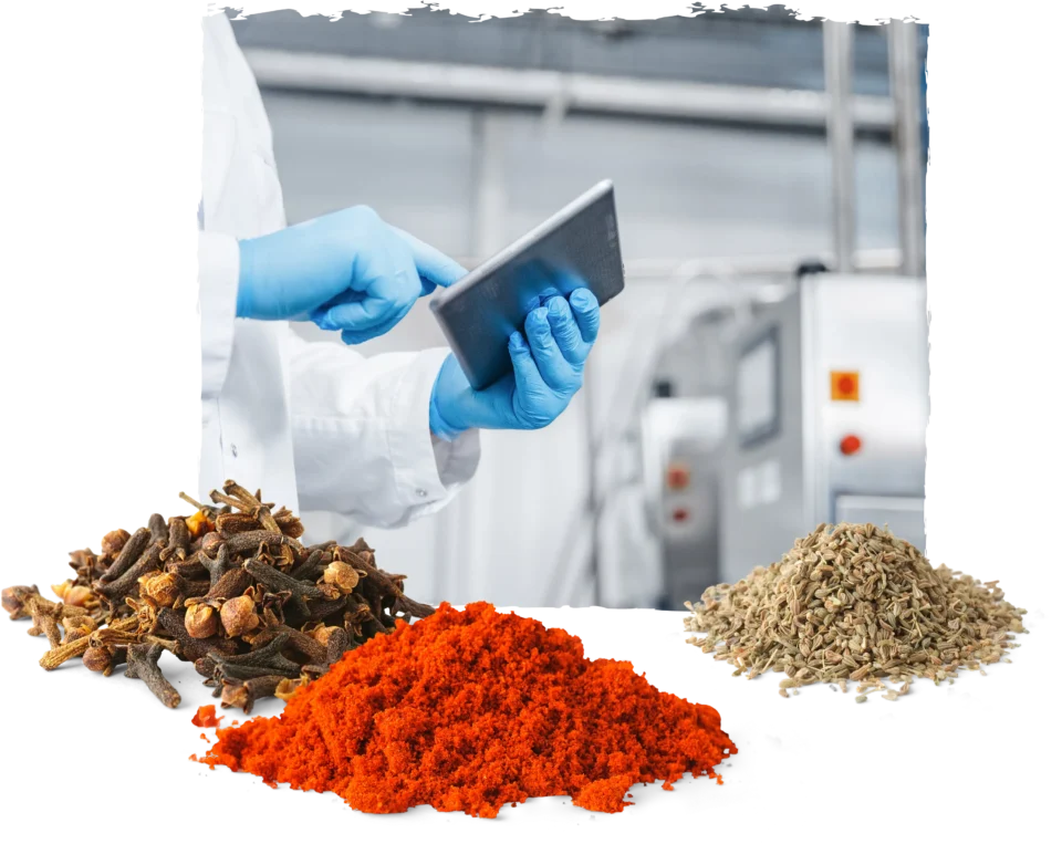 Manufacturing Facilities