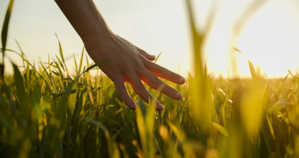 Sustainability_banner